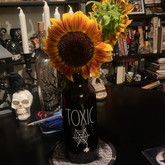 Rae Dunn Toxic vase - Picture 2 of 6